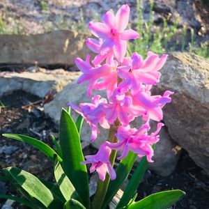 Meet your Posher, Wendy